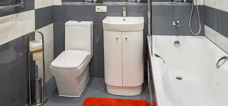 Hansgrohe Shaving Mirror Danbury